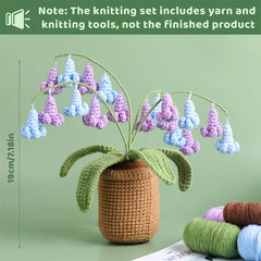 Moth Orchid Crochet Kit Beginner Yarn Hook Needles DIY